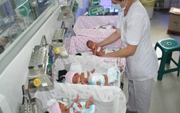 Ca sinh 4 hiếm gặp ở Việt Nam