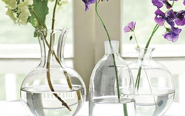 Bí quyết rửa sạch cặn bẩn đồ thủy tinh