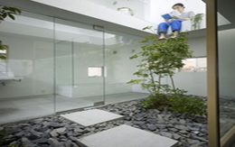 Mát mẻ với vườn cây cho ngôi nhà chật 