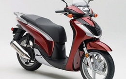 SH mới giá rẻ có gì đặc biệt?