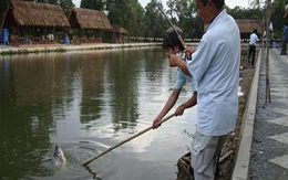 Kinh doanh câu cá: Mơi khách bằng cả mại dâm 