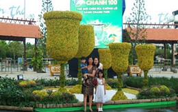 Tưng bừng lễ hội Sunlight chanh 100