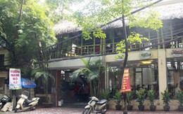 Lộ giá 'sốc' của món cá ngáp 'nửa sống, nửa chết'
