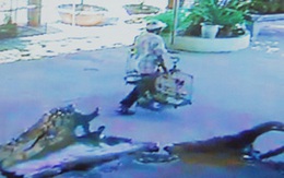 Bắt được hai "chim tặc"
