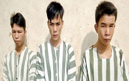 Kinh hãi bị 3 "yêu râu xanh" cướp xong rồi… hiếp