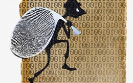 Dọn phòng… tiện tay “dọn” luôn đồ của khách
