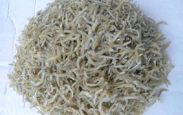 Đệ Khang Phú Thành - lựa chọn thông minh của các bà nội trợ