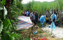 Bắt nghi phạm giết nữ sinh trong vườn mía