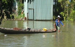 Một tiểu thương thả gần 2 tấn cá nước ngọt ra sông