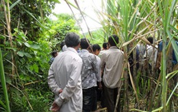 Nữ sinh 13 tuổi chết bí ẩn trong vườn mía