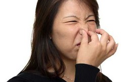 Ngửi... rắm - nghề độc đáo nhất thế giới