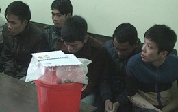 Bắt 7 nam sinh viên tàng trữ ma túy