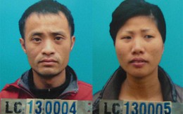 Bắc thang sang nhà hàng xóm trộm két sắt