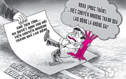 Chủ tịch tỉnh thua kiện