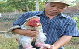 Đặc sản "lạ và hiếm" bán chạy dịp Tết