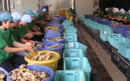 Xuất hiện nhiều loại mứt mới made in Việt Nam