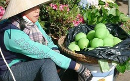 Ghê người ổi ngâm hóa chất