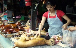 Cả làng đổ xô đi ăn thịt chó lấy may đầu năm