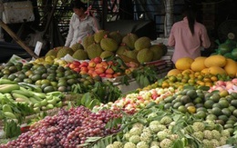 Cẩn trọng trước hoa quả vừa ôi vừa đắt dịp đầu năm