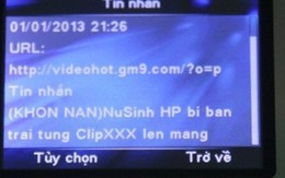 Nhiều DN bị phạt nặng vì tin nhắn kích dục