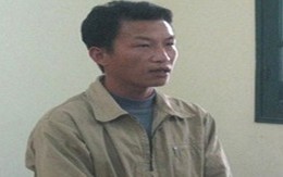 Đến diệt chuột "diệt" luôn cả két sắt