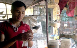 Chàng trai dạy chim hót kiếm bạc tỷ