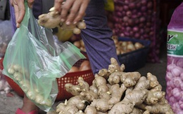 Hoang mang vì gừng Trung Quốc 'ngập' chợ Việt Nam