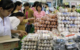 Sốt giá, trứng tăng 2.000 – 3.000 đồng/chục