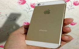 Thay vỏ vàng cho iPhone 5 giá dưới 2 triệu 'hút' khách