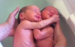Xúc động cặp song sinh mới chào đời ôm chặt nhau khi tắm