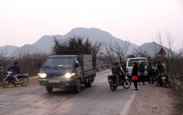 Đào rừng giá rẻ ngập quốc lộ chờ khách Hà Nội