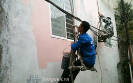 Thợ sơn nhà hốt bạc ngày cận Tết