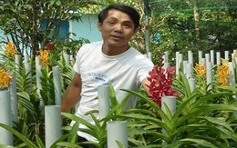 Tay trắng trồng phong lan lạ, thu nửa tỷ đồng mỗi năm