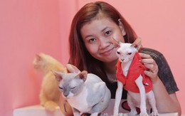 Nữ sinh 9X chi cả trăm triệu để mua mèo không lông về nuôi