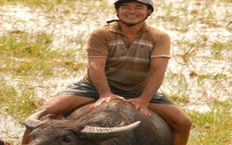 Người chăn trâu thuê trở thành 'tỷ phú'