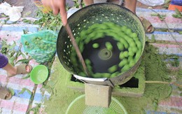 Người Hà Nội thu tiền triệu từ nghề chà vỏ sấu đầu mùa