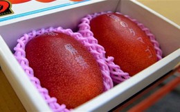 Những loại trái cây đáng giá cả gia tài