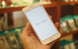 iPhone 6 Plus 128 GB giá 79 triệu đồng tại Việt Nam