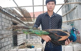 Được tiền tỷ nhờ xem công múa