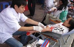 “Tết hội ngộ” của những người tình nguyện 