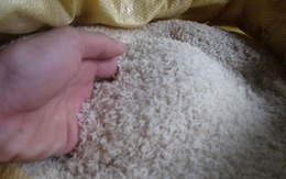 Bật mí cách chọn gạo tránh loại nhiễm hóa chất độc