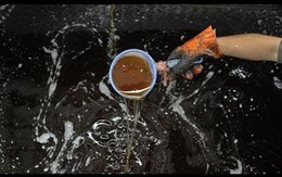 Làm thế nào để không mua phải dầu ăn từ nước cống rãnh?