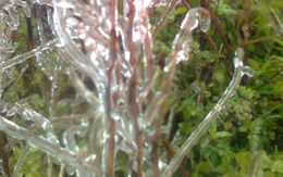 Mẫu Sơn rét 1,8 độ C