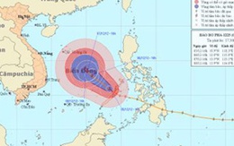 6 máy bay và hàng trăm tàu chống bão số Bopha