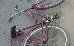 Bắt 2 học sinh cướp tài sản người đi đường