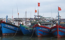 Đà Nẵng: Kêu gọi tàu thuyền tránh bão Bopha