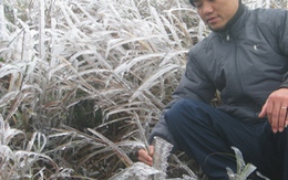 Năm nay có 4 đến 5 đợt rét đậm, rét hại 