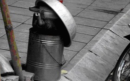 Phố Hà Nội dậy mùi xào nấu