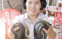 Đua nhau mua rắn độc về làm 'thần may mắn'
