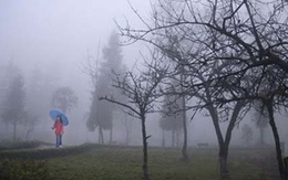 Cuối tháng 1 nền nhiệt tại Hà Nội giảm xuống 8 độ C